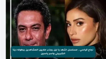 نجاح قياسي.. مسلسل اشهد يا ليل يجذب ملايين المشاهدين ببطولة دينا الشربيني وآسر ياسين